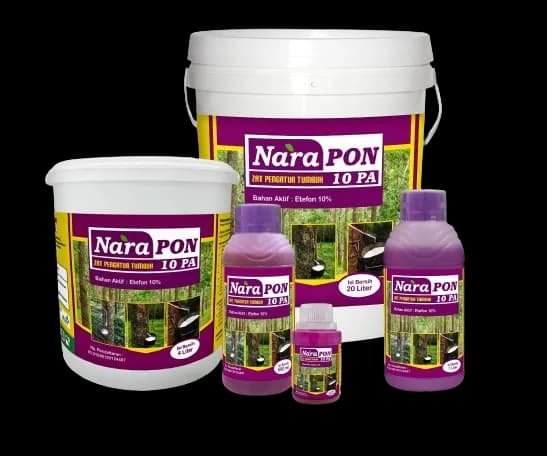 Nara Pon 10 PA